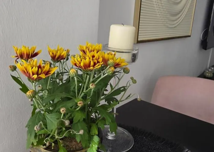 Apartamento Lux Drumul Taberei Bucareste