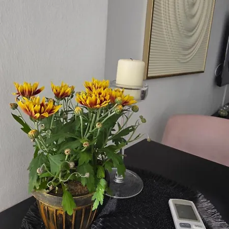 Appartement Lux Drumul Taberei Boekarest